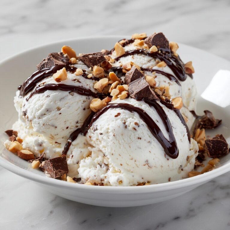 Moose Tracks Protein Ice Cream Recipe